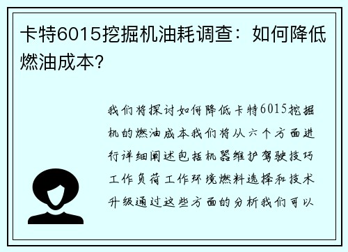卡特6015挖掘机油耗调查：如何降低燃油成本？