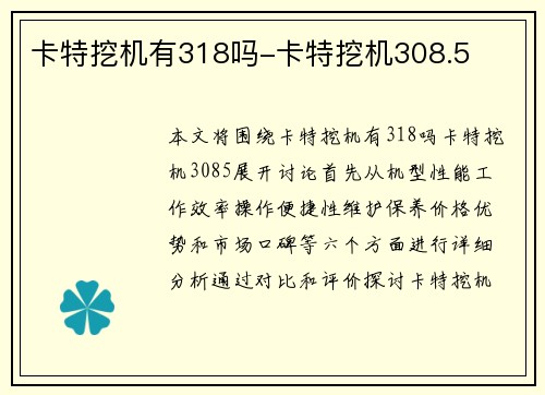 卡特挖机有318吗-卡特挖机308.5